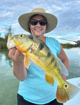 Peacock Bass Puerto Rico