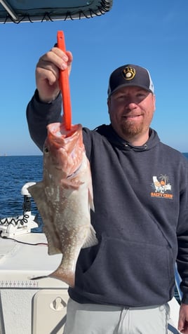 5hr offshore 26ft Twinvee 