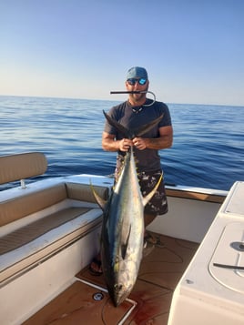 4 Hours of OFFSHORE Reef Fishing
