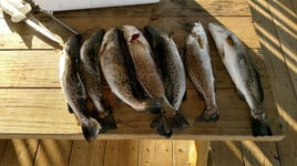 Low Country Fishing Experience