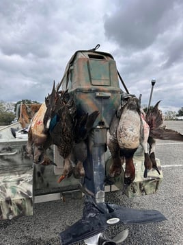 Matagorda Duck Hunting 