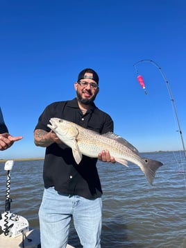 Matagorda Bay Fishing