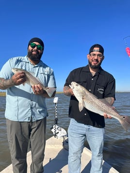 Matagorda Bay Fishing