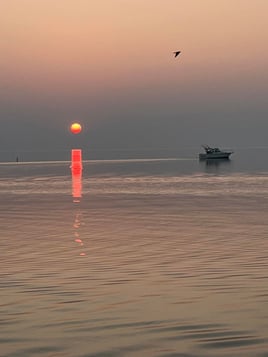 6 Hr Smallmouth Bass Trip