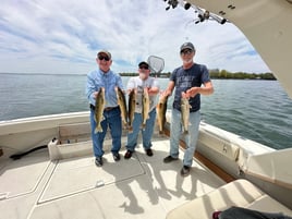 6 Hour Multi-Species Trip