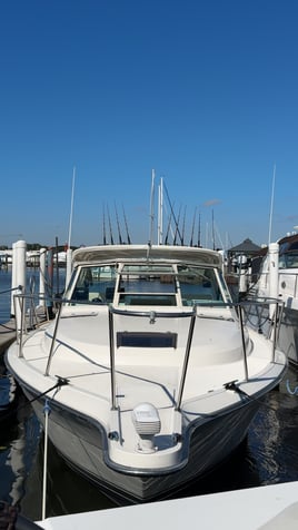 6 Hour Perch Charter