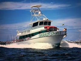 Six Hour private trip