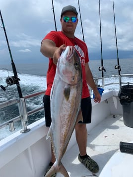 Six Hour private trip