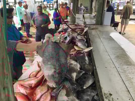 Six Hour private trip