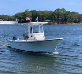 Nearshore 5hrs in the Gulf 