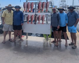 4hrs Nearshore in the Gulf 