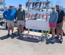 4hrs Nearshore in the Gulf 