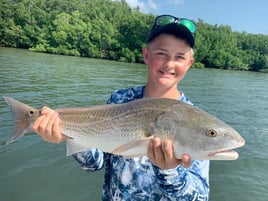 Pine Island Inshore/Nearshore Trip