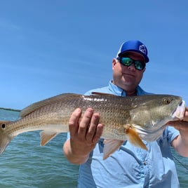 4-6 Hours Fishing Trip