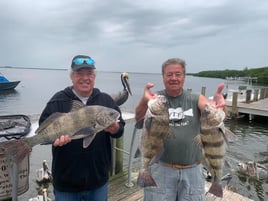 Pine Island Inshore/Nearshore Trip