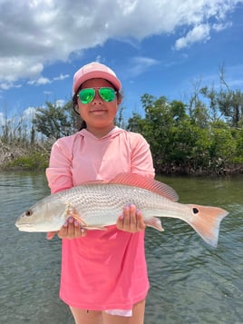 4-8 Hour Inshore Fishing Trip 