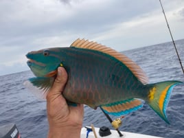 South Florida Fishing Tour