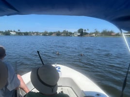 South Florida Fishing Tour