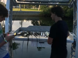 Iguana Hunting Adventure