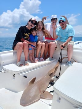 Tarpon Fishing 4 Hours