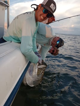 Tarpon Fishing 4 Hours