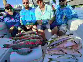 Tarpon Fishing 4 Hours