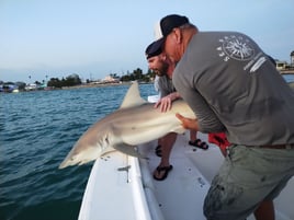 Tarpon Fishing 4 Hours