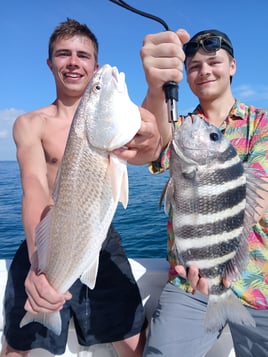 Tarpon Fishing 4 Hours