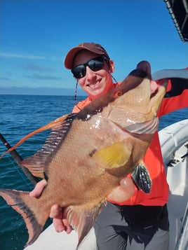 Tarpon Fishing 4 Hours