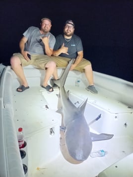 Tarpon Fishing 4 Hours