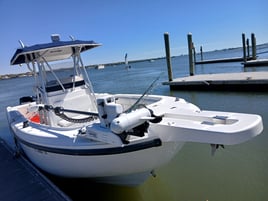 Tarpon Fishing 4 Hours