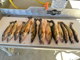 Come get you some!!!!