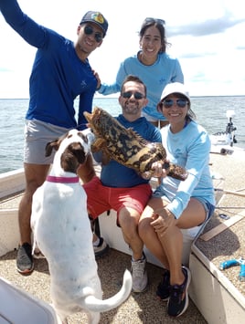 Goliath Grouper Fishing 4-6 Hours