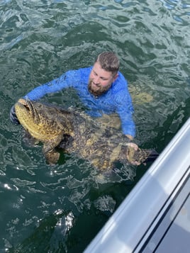 Goliath Grouper Fishing 4-6 Hours
