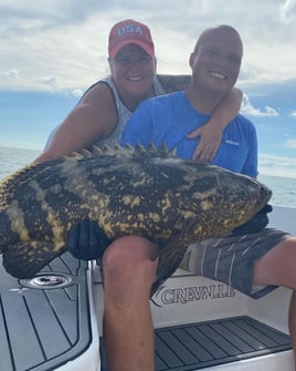 Goliath Grouper Fishing 4-6 Hours