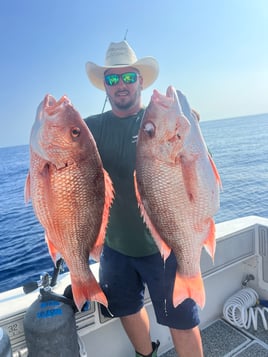Red Snapper 10+ hour 