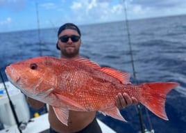 Red Snapper 10+ hour 