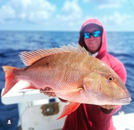 Red Snapper 10+ hour 