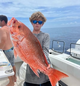 Red Snapper 10+ hour 