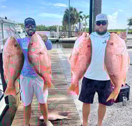 Red Snapper 10+ hour 