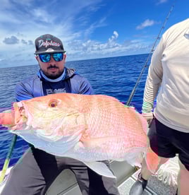 Red Snapper 10+ hour 