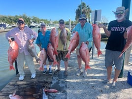 Red Snapper 10+ hour 