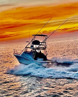 Half Day Inshore