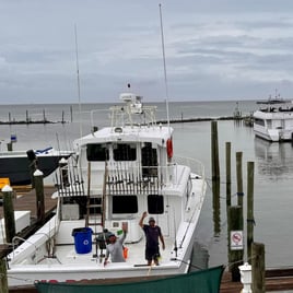 Shark Fishing Gulf Shores