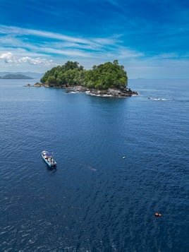 Coiba Inshore 