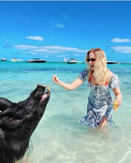 Swimming Pigs & Turtle Experience