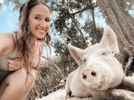 Swimming Pigs & Turtle Experience