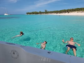 Swimming Pigs & Turtle Experience