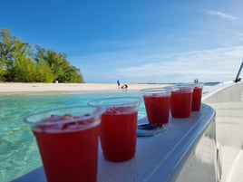 Swimming Pigs & Turtle Experience