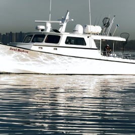 Fishing Fun in the Sun